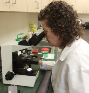 Equine Laboratory Services