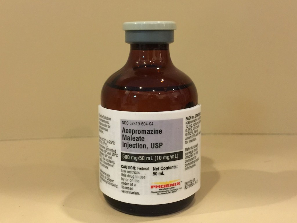Acepromazine 25 mg/ml, 50 ml Ferguson and Associates Equine Hospital