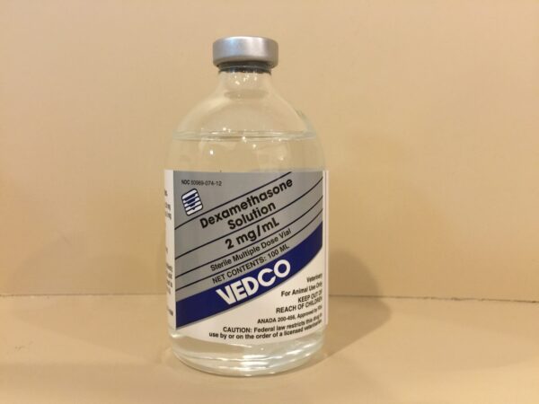 Dexamethazone 2 mg/ml, 100 ml