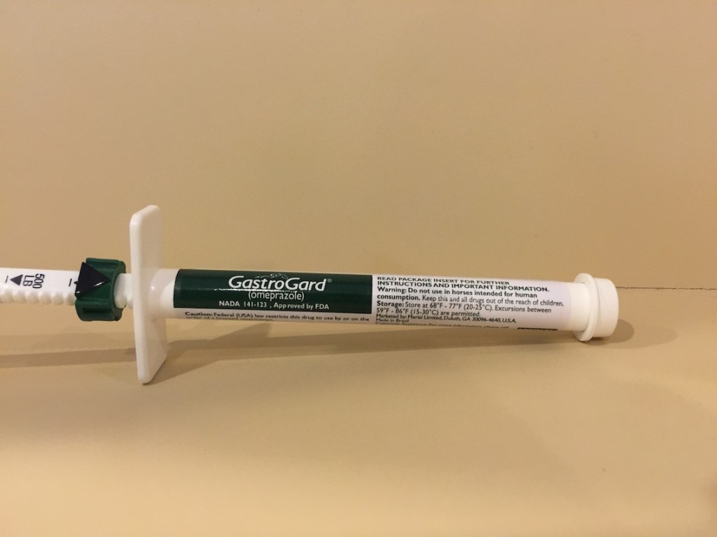 gastrogard-2-28-g-lb-6-15-g-tube-ferguson-and-associates-equine-hospital